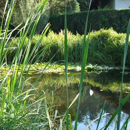 아파트 Ljubljanica *