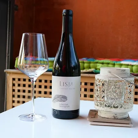 Ljubljanica 류블랴나