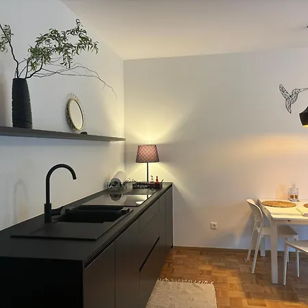 Ljubljanica 公寓 卢布尔雅那