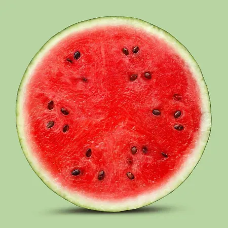 アパート Ljubljanica リュブリャナ